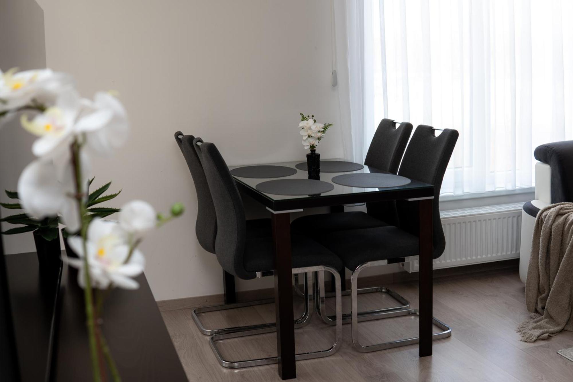 Bnb New Beautiful Apartment In The Center Of Ostrava With Option Garage Parking 외부 사진